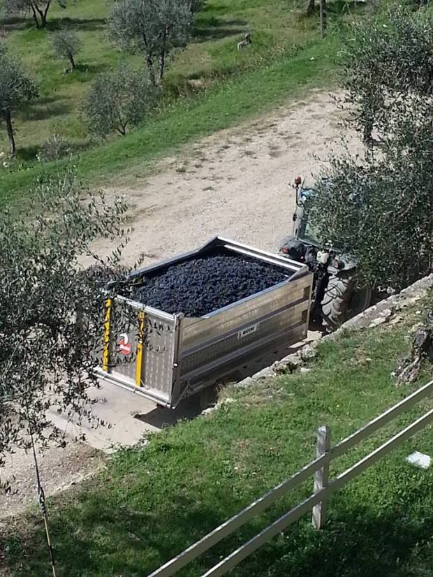 10440166_10152854596841756_1706073300253583422_n