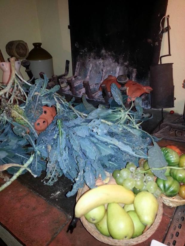 10540398_10152852322126756_3516161855020388673_n