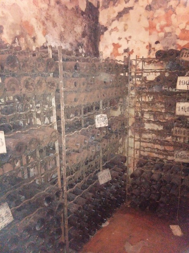 10649698_10204434790457344_1217485800755129898_n