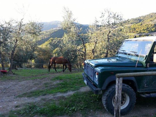 10653739_10152854604176756_4665323066062450886_n