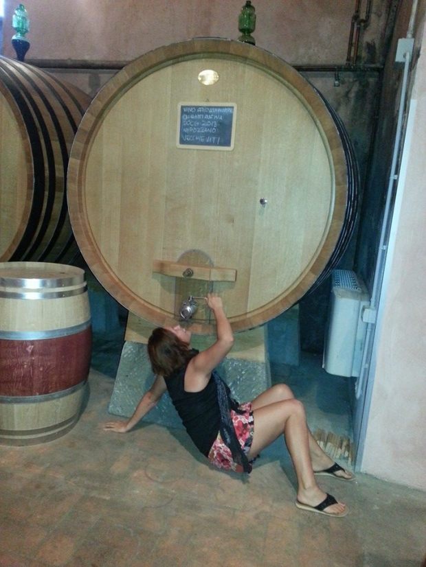 1972531_10152854597211756_5348300648882279403_n