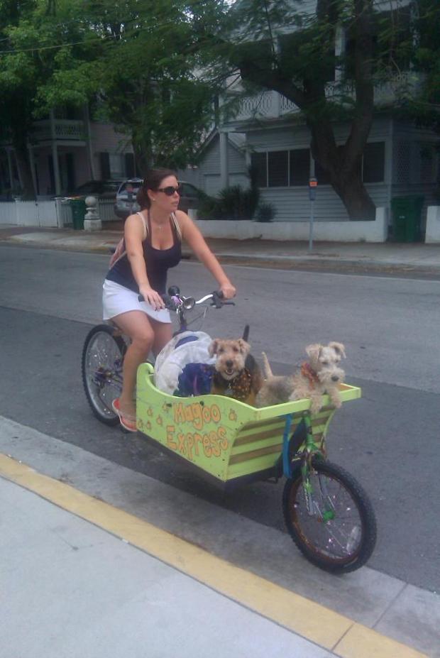 312723_112734898842810_280491431_n