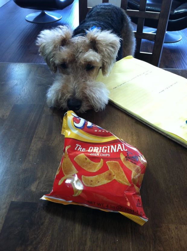 327792_2992047651826_571029979_o