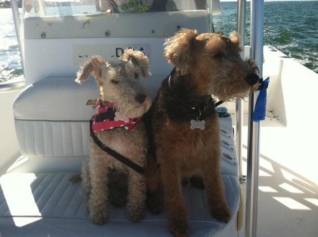 381939_2728858352258_219647655_n