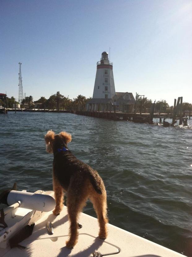 397741_2728851912097_860781162_n