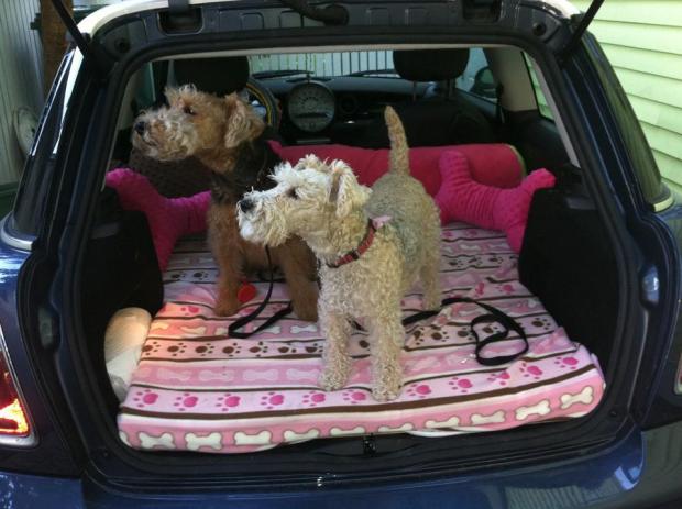 429760_2845184060328_97110842_n